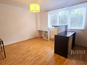 Pronájem bytu 1+kk, Písek, Přemyslova, 27 m2