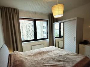 Pronájem bytu 2+kk, Brno, Řípská, 59 m2