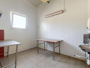 Prodej výrobních prostor, Týnec nad Sázavou, Družstevní, 308 m2