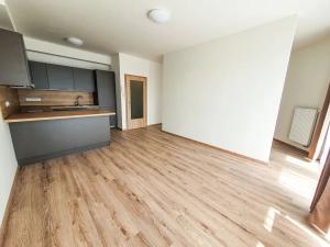 Pronájem bytu 2+kk, Brno, Plotní, 49 m2