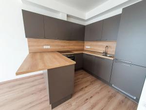 Pronájem bytu 2+kk, Brno, Plotní, 49 m2