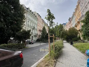 Pronájem bytu 3+kk, Karlovy Vary, Sadová, 82 m2