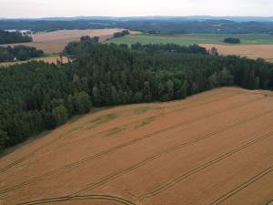 Prodej pole, Blažejov, 17187 m2