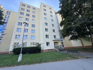 Pronájem bytu 2+kk, Brno, U hřiště, 45 m2