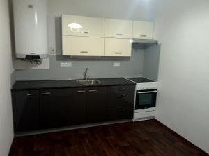 Pronájem bytu 3+kk, Brno, Podbabská, 105 m2