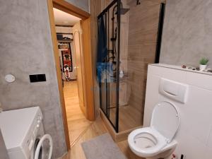 Pronájem bytu 3+kk, Praha, Roškotova, 58 m2