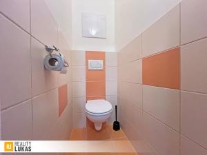 Pronájem bytu 1+1, Ostrava, Alšovo náměstí, 41 m2