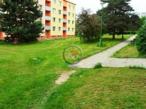 Prodej bytu 1+1, Třebíč - Nové Dvory, Tolstého, 33 m2