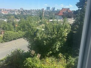 Pronájem bytu 2+1, Praha, Na Konvářce, 77 m2