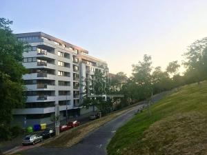 Pronájem bytu 2+kk, Praha - Žižkov, Kališnická, 57 m2