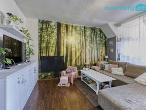 Prodej bytu 2+1, Cheb, Dlouhá, 87 m2
