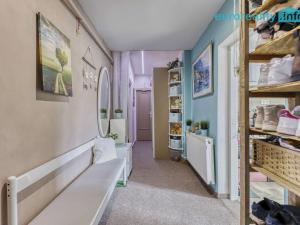 Prodej bytu 2+1, Cheb, Dlouhá, 87 m2