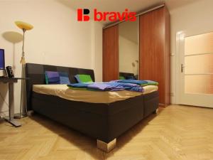 Pronájem bytu 1+1, Brno - Veveří, Kounicova, 50 m2