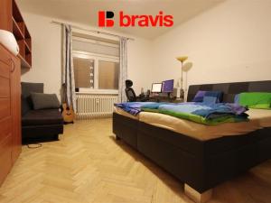 Pronájem bytu 1+1, Brno - Veveří, Kounicova, 50 m2