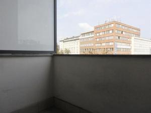 Pronájem bytu 1+1, Brno - Veveří, Kounicova, 50 m2