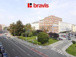 Pronájem bytu 1+1, Brno - Veveří, Kounicova, 50 m2
