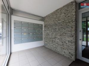 Pronájem bytu 1+kk, Karlovy Vary - Stará Role, Nejdlova, 33 m2