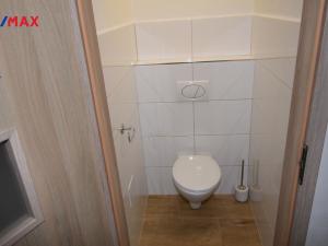 Pronájem bytu 3+kk, Písek, Chelčického, 67 m2