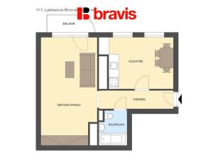 Pronájem bytu 1+1, Brno - Staré Brno, 49 m2