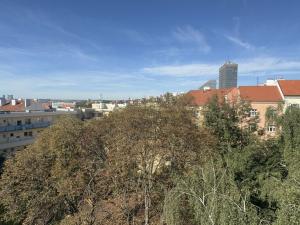 Prodej bytu 2+kk, Praha - Vinohrady, Hollarovo náměstí, 37 m2