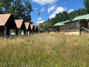 Prodej ubytování, Bílé Poličany, 1000 m2