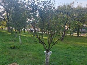 Prodej rodinného domu, Lešná - Jasenice, 95 m2