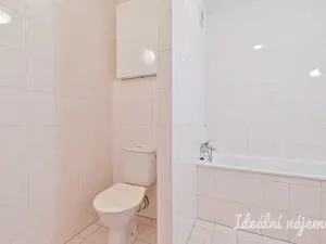 Pronájem bytu 1+kk, Brno, Molákova, 39 m2