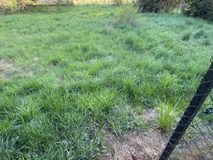 Prodej pozemku pro bydlení, Sloup v Čechách, Komenského, 671 m2