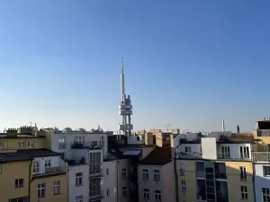 Pronájem bytu 3+kk, Praha - Žižkov, Vinohradská, 80 m2