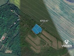 Prodej podílu lesa, Ivančice, 1016 m2