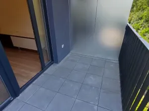 Pronájem bytu 1+kk, Praha - Žižkov, Hartigova, 38 m2