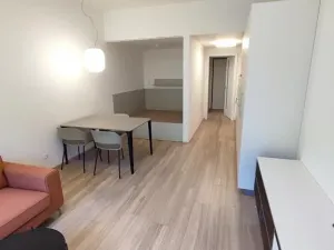 Pronájem bytu 1+kk, Praha - Žižkov, Hartigova, 38 m2