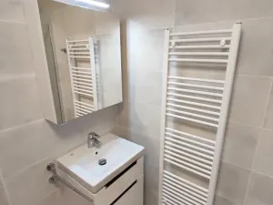 Pronájem bytu 1+kk, Praha - Žižkov, Hartigova, 38 m2