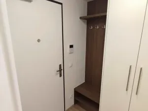 Pronájem bytu 1+kk, Praha - Žižkov, Hartigova, 38 m2