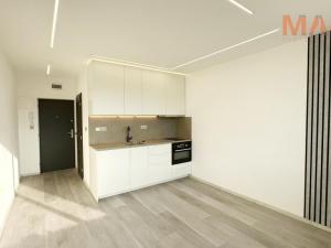 Pronájem bytu 1+kk, Chomutov, Havlíčkova, 21 m2
