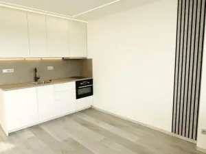 Pronájem bytu 1+kk, Chomutov, Havlíčkova, 21 m2