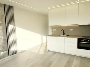 Pronájem bytu 1+kk, Chomutov, Havlíčkova, 21 m2