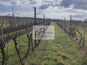 Prodej sadu/vinice, Drnholec, 550 m2