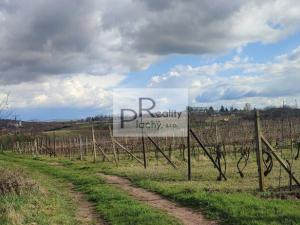 Prodej sadu/vinice, Drnholec, 550 m2
