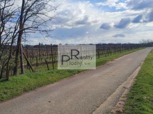 Prodej sadu/vinice, Drnholec, 550 m2