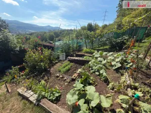 Pronájem zahrady, Ústí nad Labem - Mojžíř, Horní, 693 m2