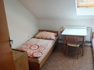 Pronájem atypického bytu, Pardubice, Bílé Předměstí, 25 m2