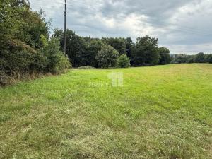 Prodej pozemku pro bydlení, Řečice - Bystrá, 11106 m2