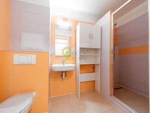 Pronájem bytu 2+kk, Milovice - Mladá, Braniborská, 48 m2