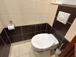 Pronájem bytu 2+1, Bílina - Teplické Předměstí, Sídliště Za Chlumem, 62 m2