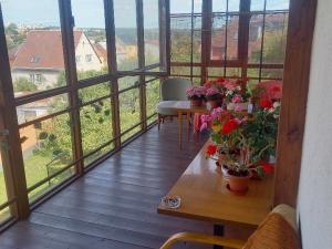 Pronájem pokoje, Tachov, Máchova, 15 m2