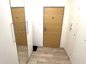 Pronájem bytu 1+kk, Plzeň, Krašovská, 30 m2
