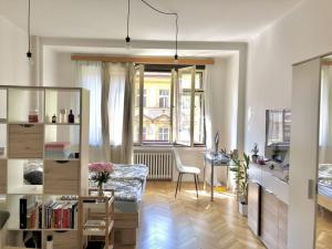 Prodej bytu 1+kk, Praha - Karlín, Sokolovská, 33 m2