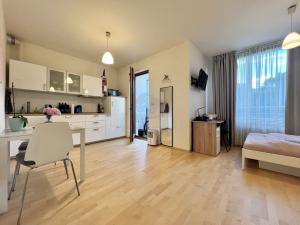 Pronájem bytu 1+kk, Praha - Břevnov, Patočkova, 38 m2