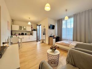 Pronájem bytu 1+kk, Praha - Břevnov, Patočkova, 38 m2